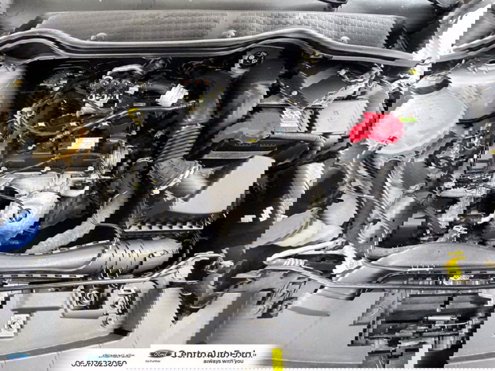 Ford Fiesta usata a Roma (12)