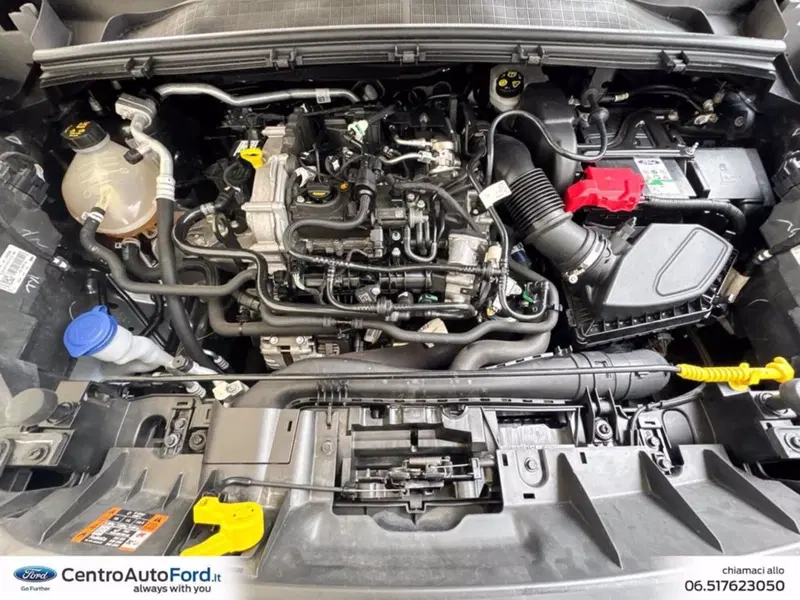 Ford Puma usata a Roma (12)