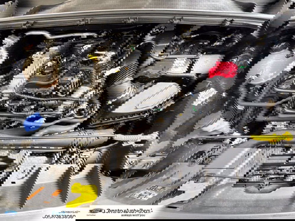 Ford Puma usata a Roma (12)