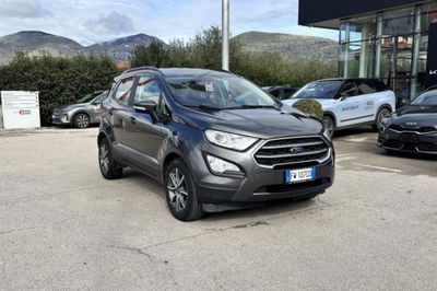 Ford EcoSport 1.5 Ecoblue 100 CV Start&amp;Stop Business del 2019 usata a Fondi