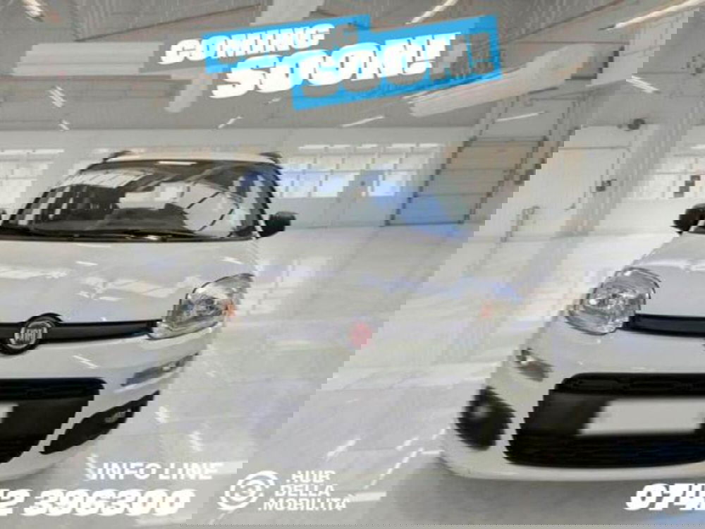 Fiat Panda usata a Perugia