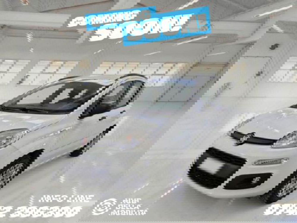 Fiat Panda usata a Perugia (2)