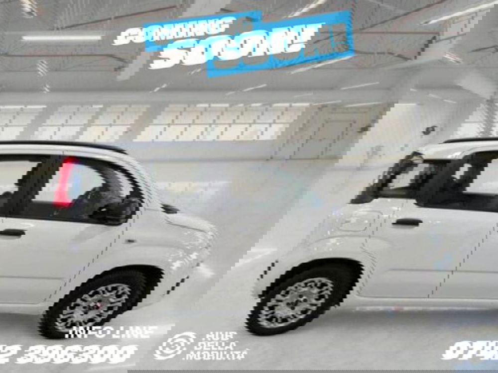 Fiat Panda usata a Perugia (3)