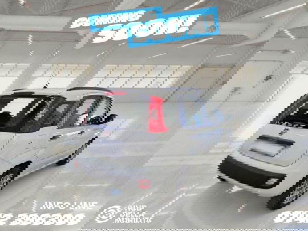 Fiat Panda usata a Perugia (5)