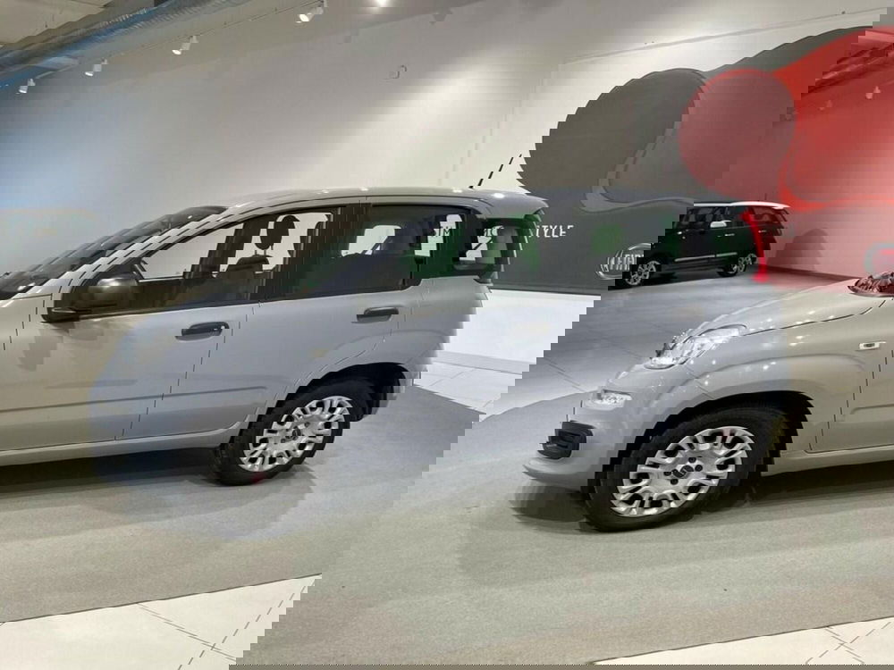 Fiat Panda usata a Sondrio (2)