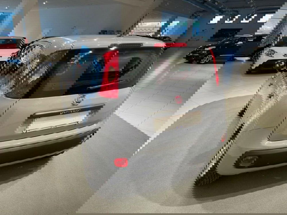 Fiat Panda usata a Sondrio (3)