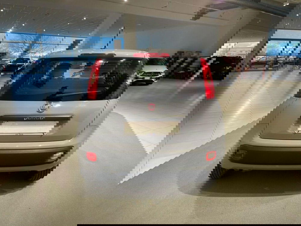 Fiat Panda usata a Sondrio (4)