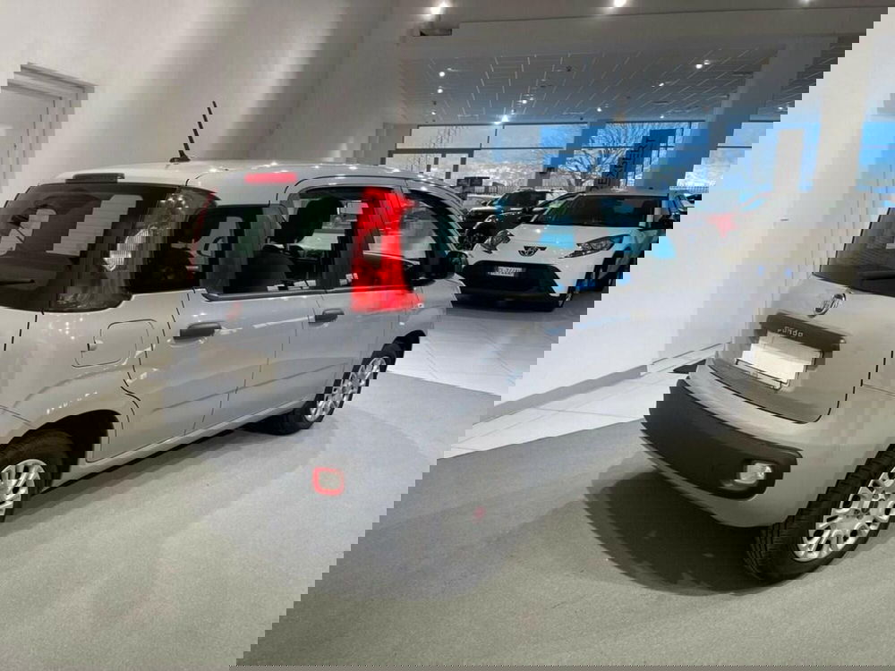 Fiat Panda usata a Sondrio (5)