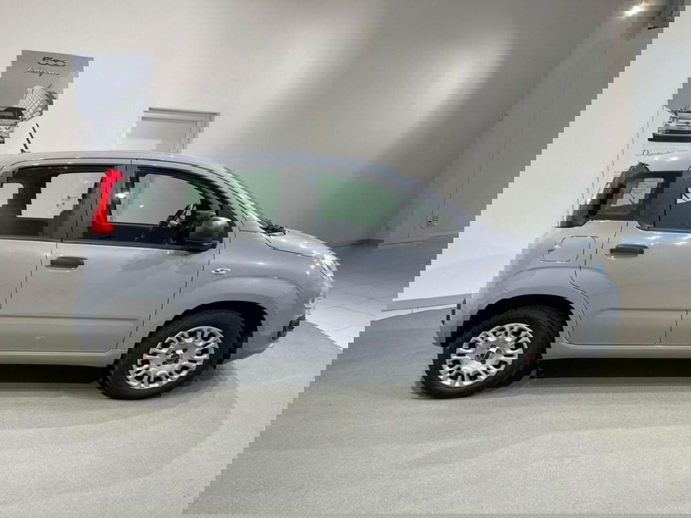 Fiat Panda usata a Sondrio (6)