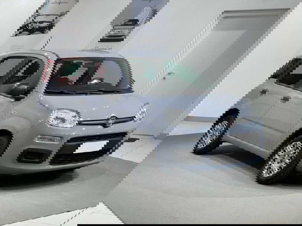 Fiat Panda usata a Sondrio (7)