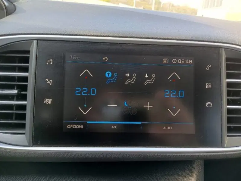Peugeot 308 SW usata a Brescia (20)