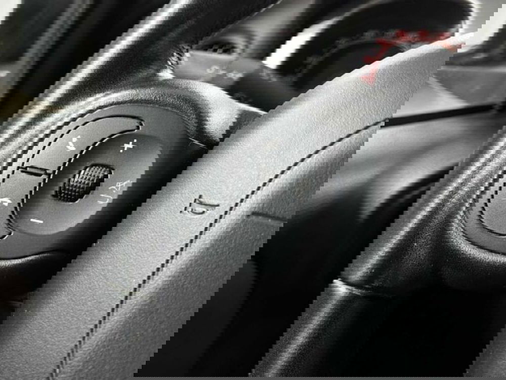 Fiat Panda Cross usata a Sondrio (20)