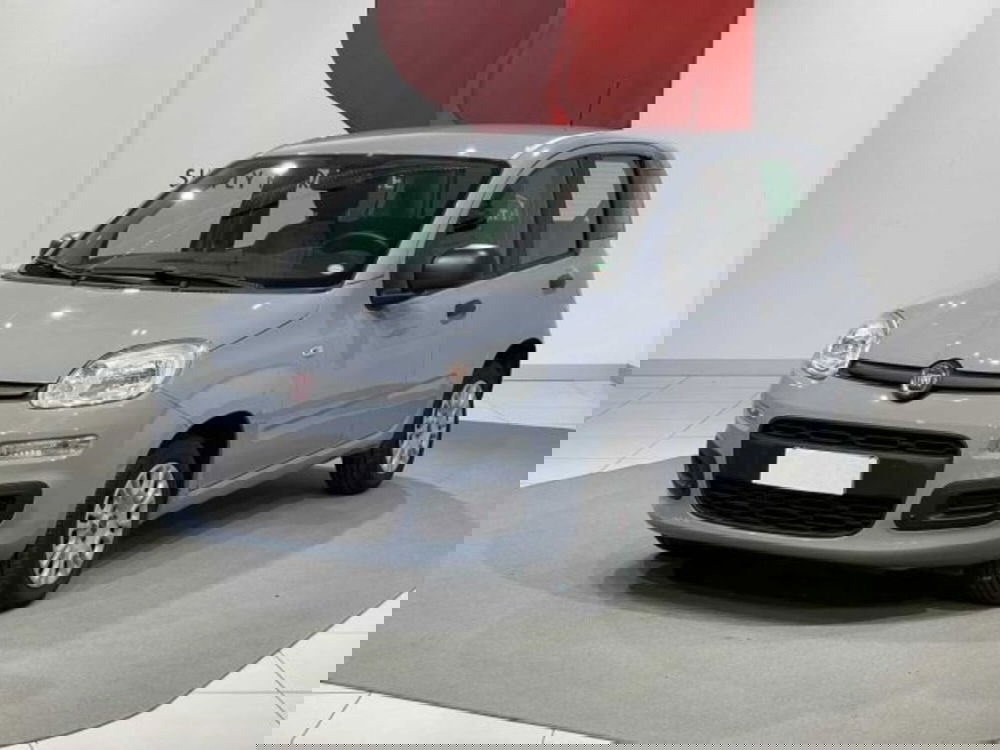 Fiat Panda usata a Sondrio