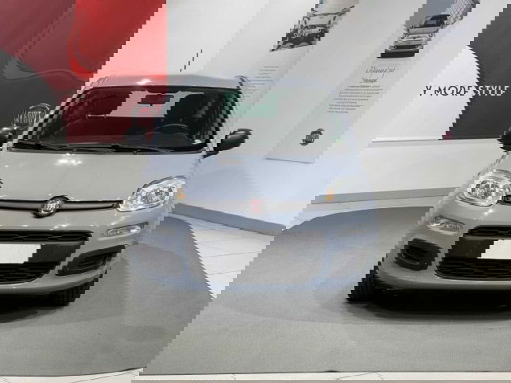 Fiat Panda usata a Sondrio (2)