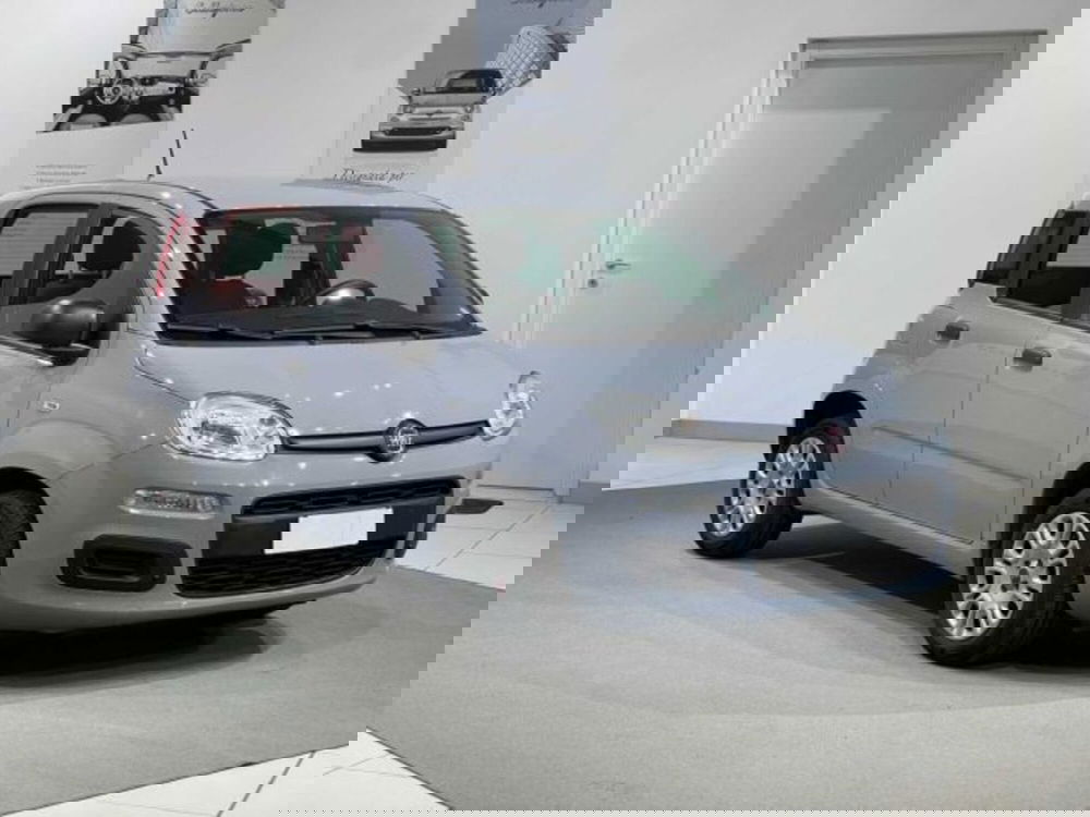 Fiat Panda usata a Sondrio (3)