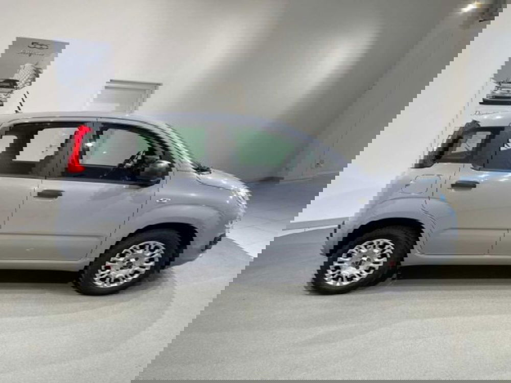 Fiat Panda usata a Sondrio (4)