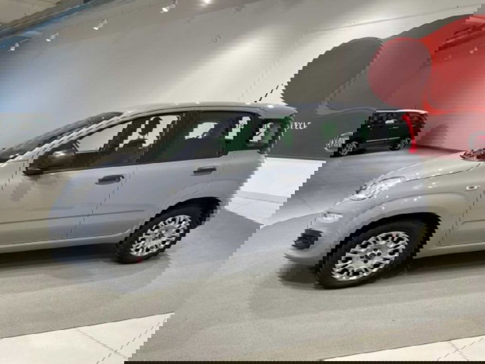 Fiat Panda usata a Sondrio (8)