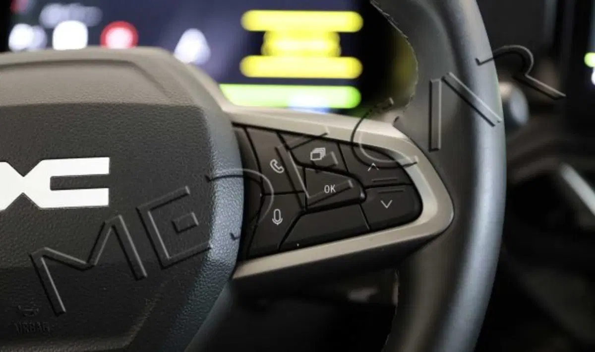 Dacia Bigster usata a Potenza (13)