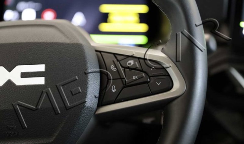 Dacia Bigster usata a Potenza (13)