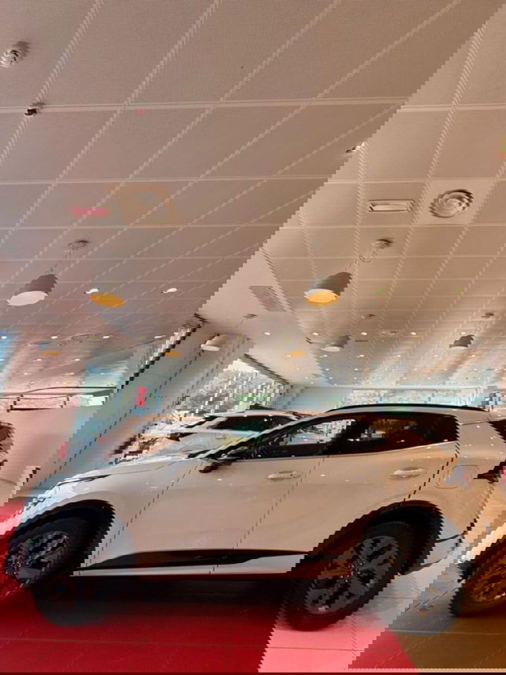 Kia Sportage usata a Sassari (2)