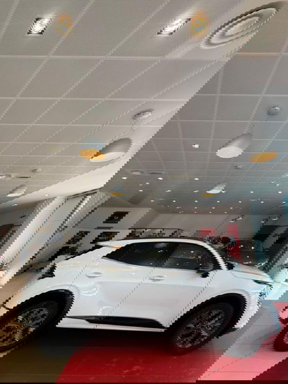 Kia Sportage usata a Sassari (4)