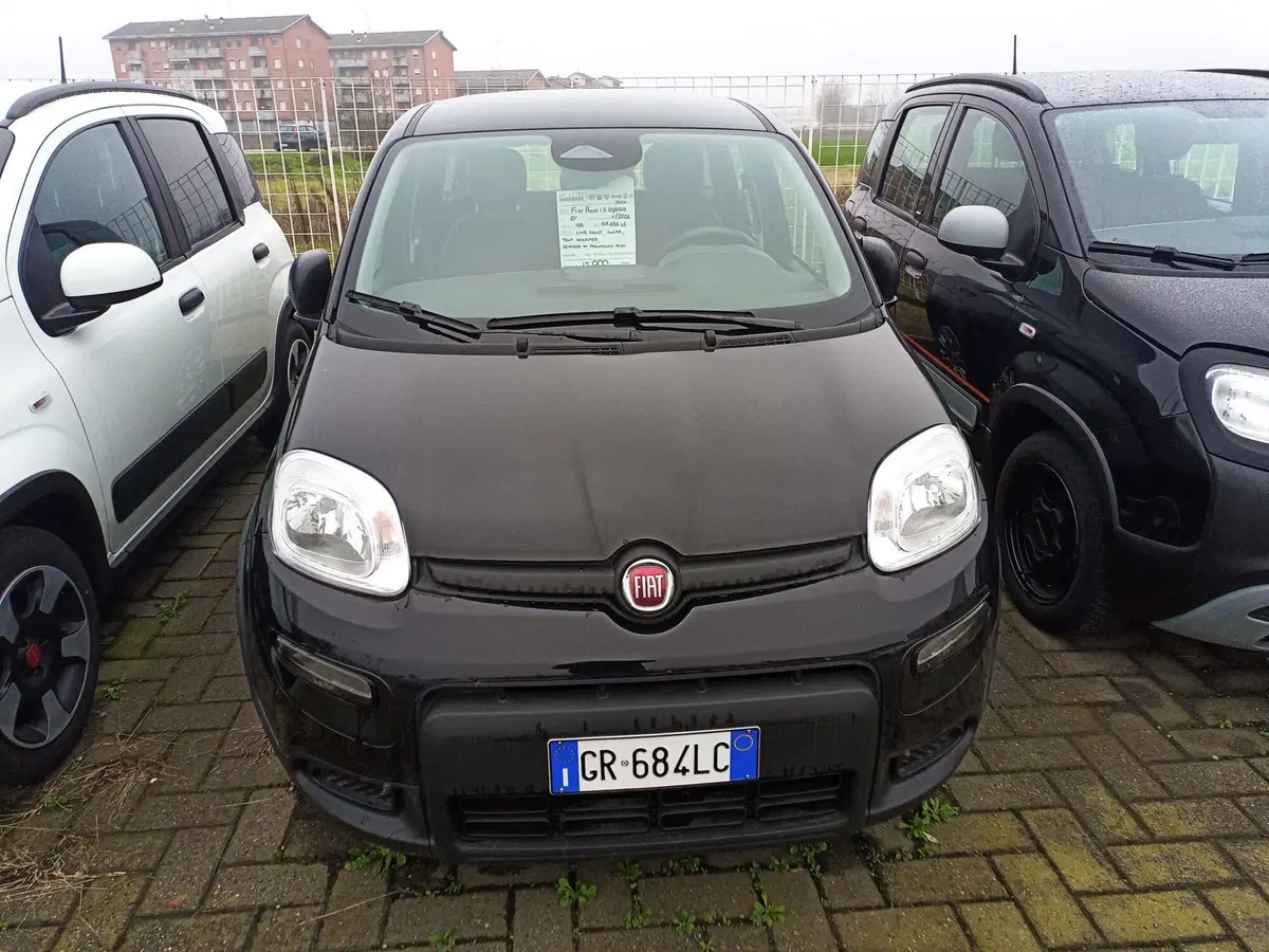 Fiat Panda Cross nuova a Alessandria (2)