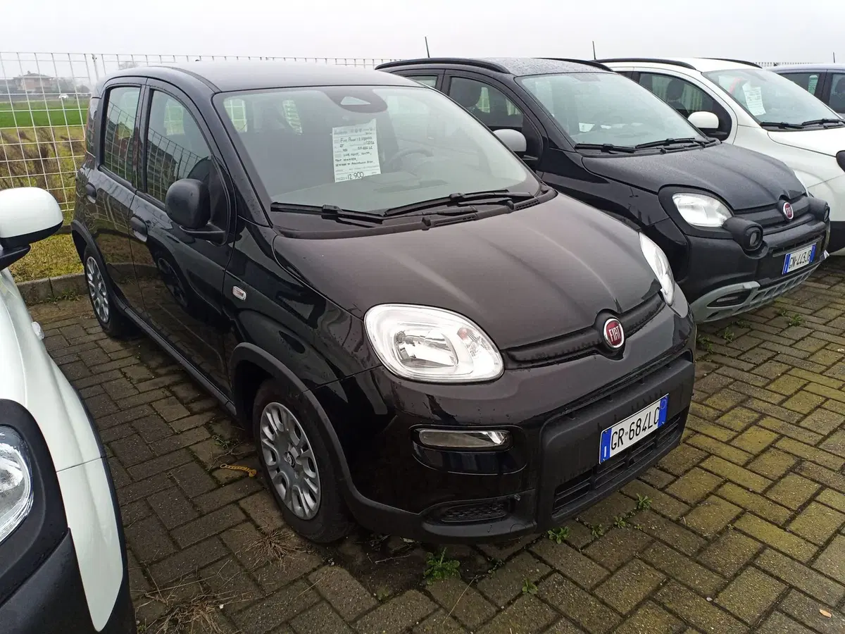 Fiat Panda Cross nuova a Alessandria (3)