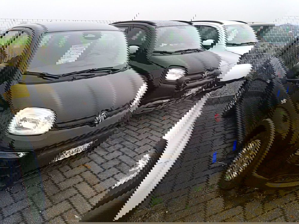 Fiat Panda Cross nuova a Alessandria (3)