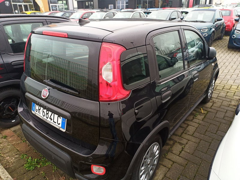 Fiat Panda Cross nuova a Alessandria (4)