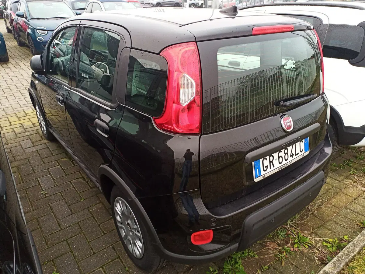 Fiat Panda Cross nuova a Alessandria (5)
