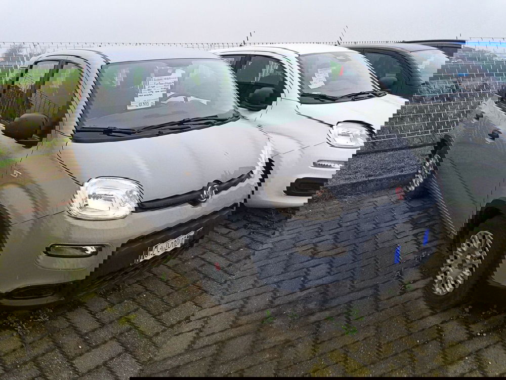 Fiat Panda Cross usata a Alessandria (3)