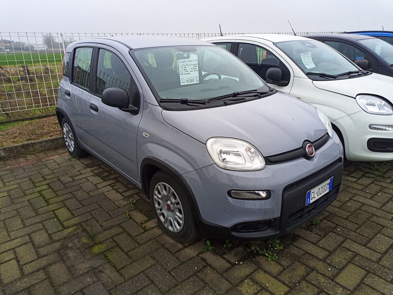 Fiat Panda Cross usata a Alessandria (3)