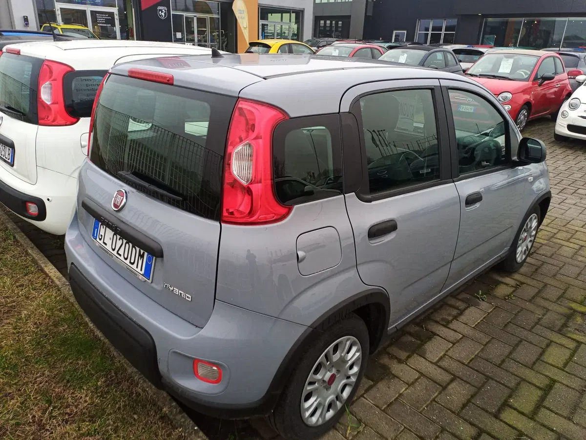 Fiat Panda Cross usata a Alessandria (4)