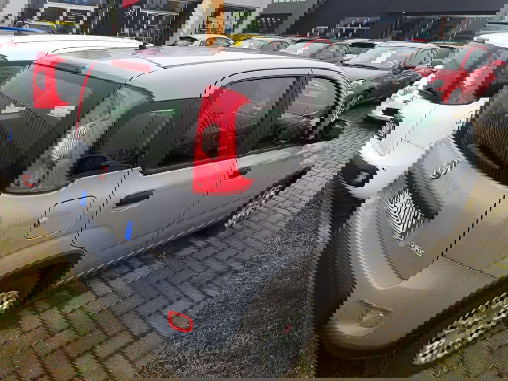 Fiat Panda Cross usata a Alessandria (4)