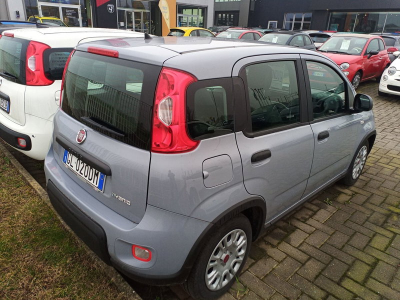 Fiat Panda Cross usata a Alessandria (4)
