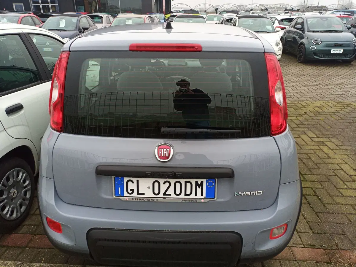 Fiat Panda Cross usata a Alessandria (5)