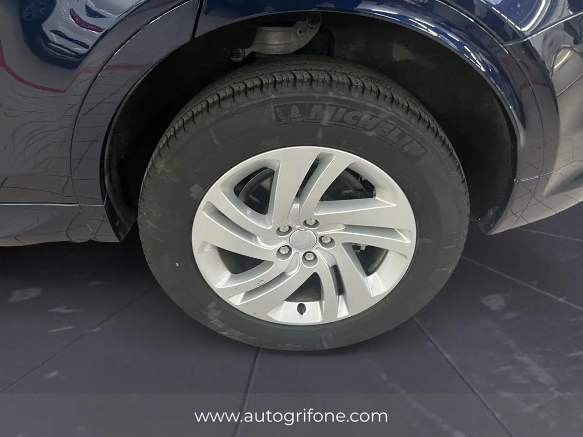 Land Rover Discovery Sport usata a Modena (14)