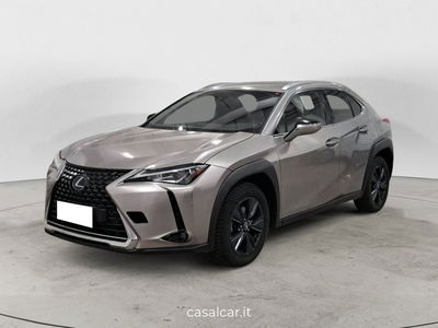 Lexus UX Hybrid 4WD Executive del 2020 usata a Sala Consilina
