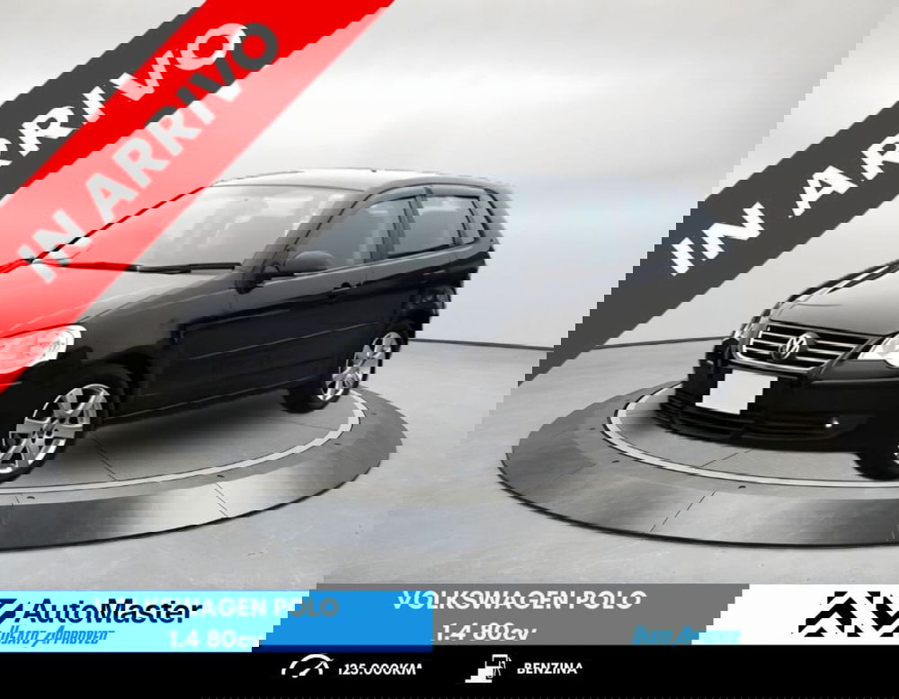 Volkswagen Polo usata a Ferrara