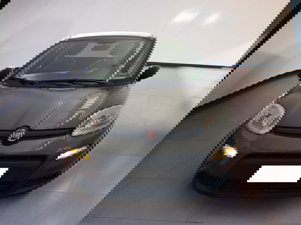 Fiat Panda Cross usata a Torino