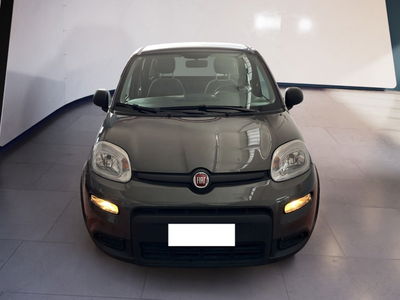 Fiat Panda Cross Cross 1.0 FireFly S&amp;S Hybrid del 2023 usata a Torino