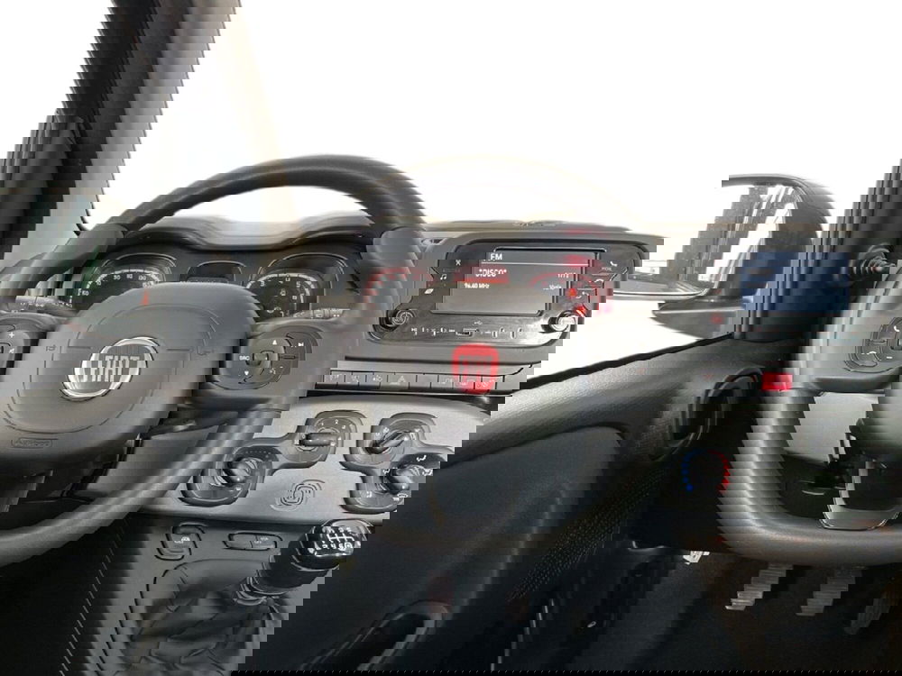 Fiat Panda Cross usata a Torino (11)