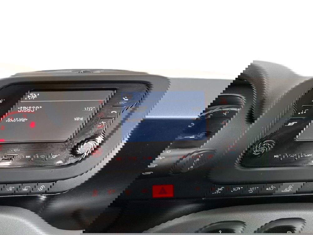 Fiat Panda Cross usata a Torino (13)