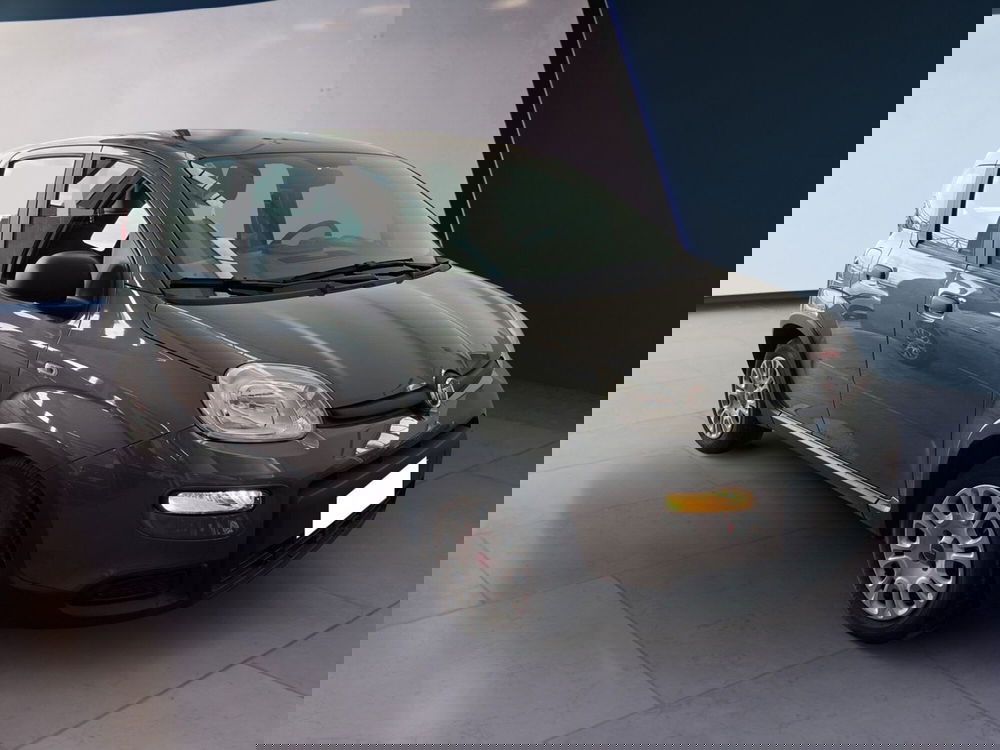 Fiat Panda Cross usata a Torino (2)