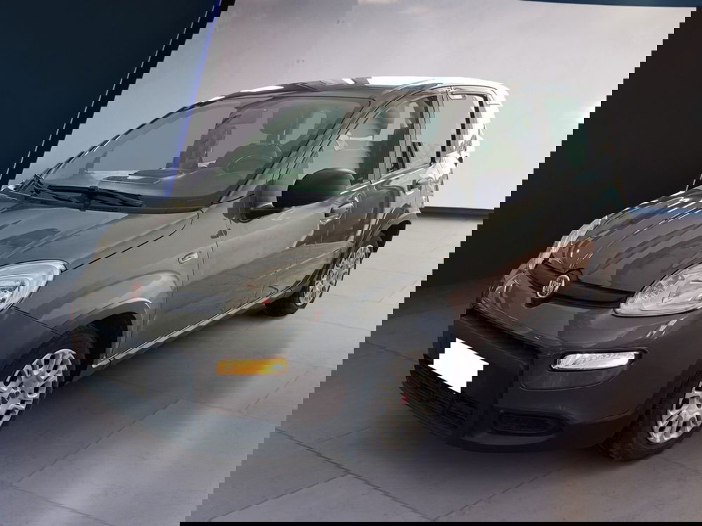 Fiat Panda Cross usata a Torino (3)