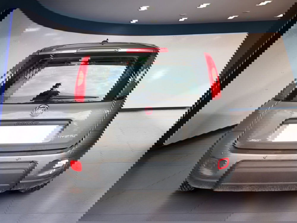 Fiat Panda Cross usata a Torino (5)