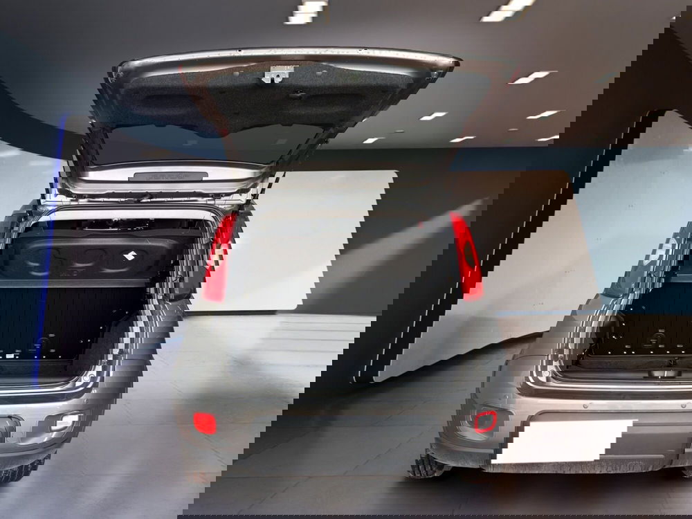 Fiat Panda Cross usata a Torino (7)