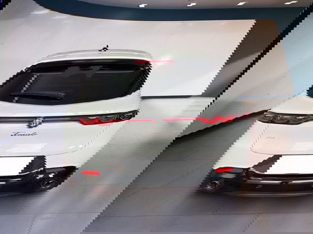 Alfa Romeo Tonale usata a Torino (5)