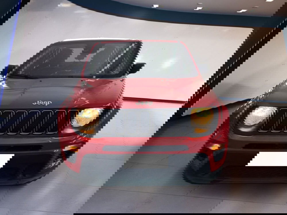 Jeep Renegade usata a Torino