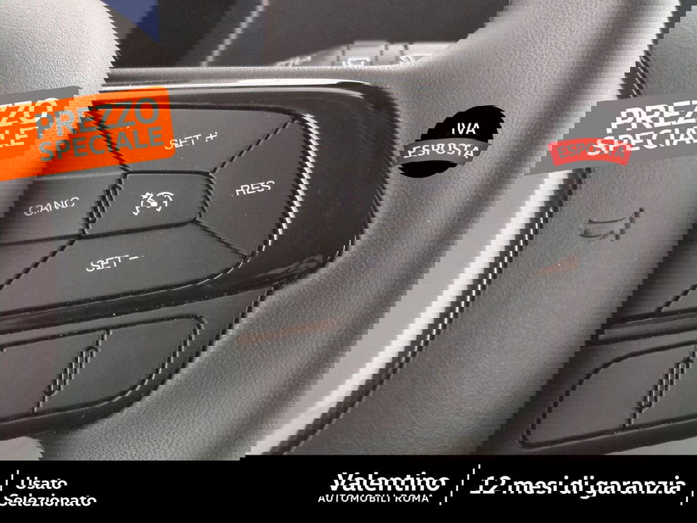 Fiat Panda Cross usata a Roma (15)